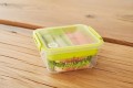 Lunchbox Rotho Memory 1L bez BPA do zmywarki z przegródką do szkoły, pracy