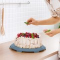 Pojemnik XL 26 cm na Tort Ciasto Wysoki uchwyt do przenoszenia Rotho FRESH