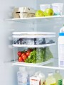 Organizer pojemnik do lodówki na ser wędlinę 1,3L CAUMA Rotho bez BPA