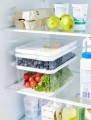 Organizer pojemnik do lodówki na ser wędlinę 2,6 L CAUMA Rotho bez BPA