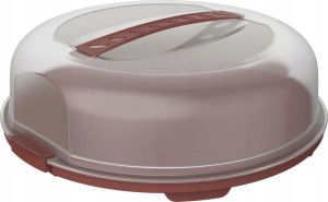 Pojemnik transporter na kanapki ciasto tort płaski Rotho FRESH Iron red