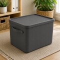 Rotho MYTHEN 55L Pojemnik Organizer Box z Pokrywą Duży Czarny Antracyt 55 l