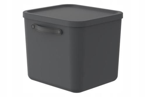 Rotho MYTHEN 40L Pojemnik Organizer Box z Pokrywą Czarny 39,5x38x34 cm