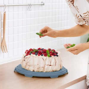 Pojemnik XL 26 cm na Tort Ciasto Wysoki uchwyt do przenoszenia Rotho FRESH